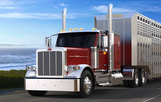 FY2023-Photo-2-Peterbilt-589